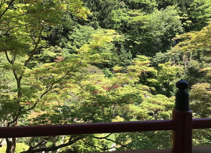 Outdoor view Photo