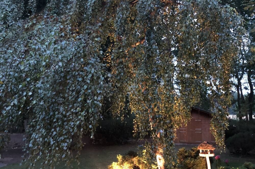Outdoor view