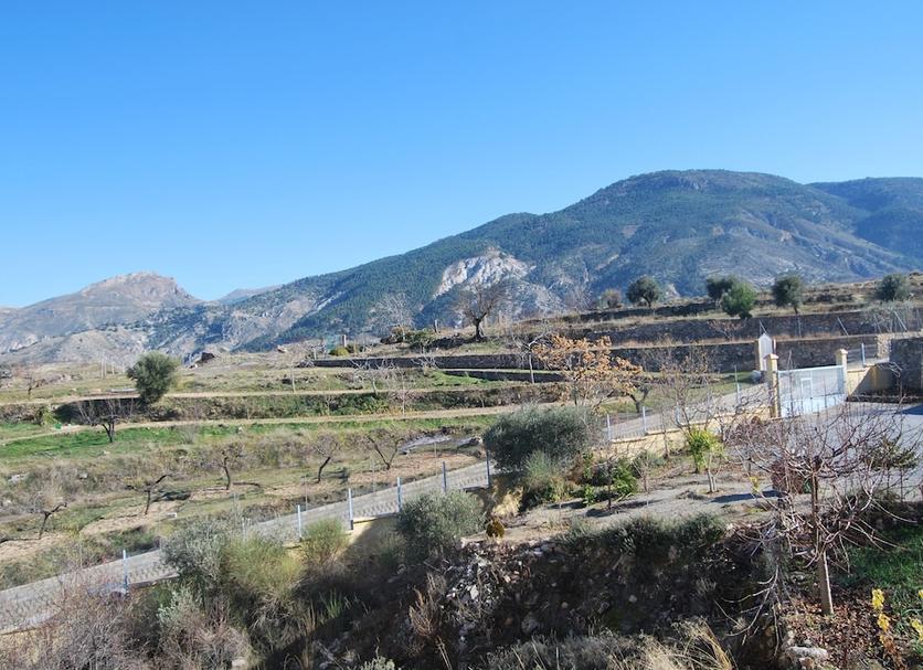Outdoor view Photo
