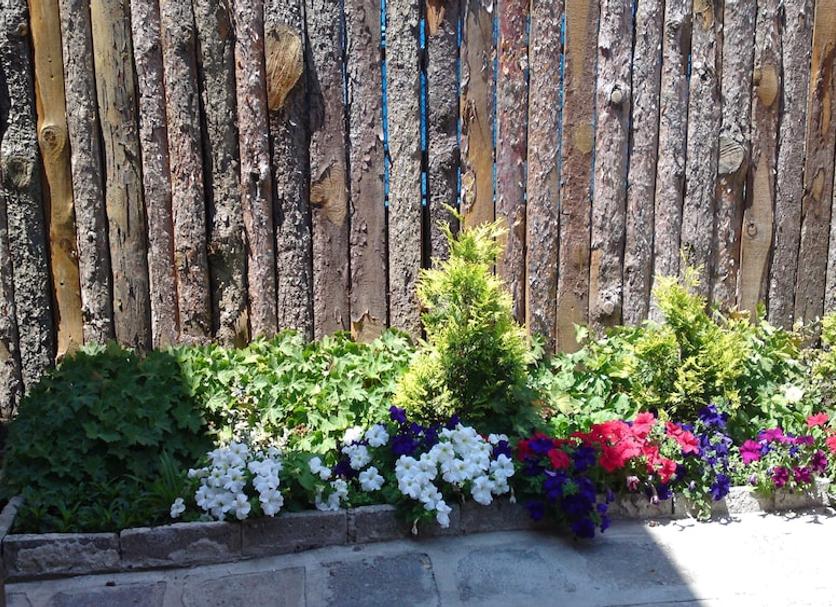 Outdoor view Photo