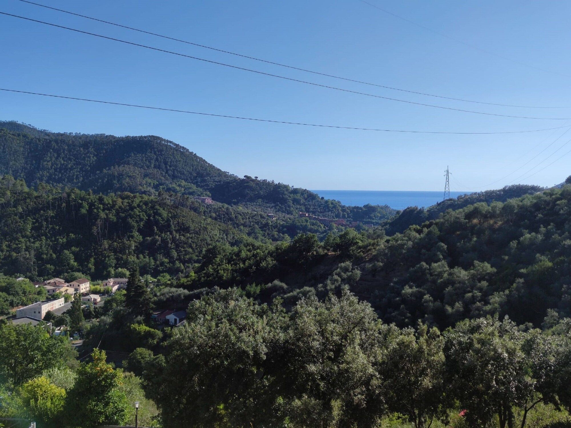 Outdoor view