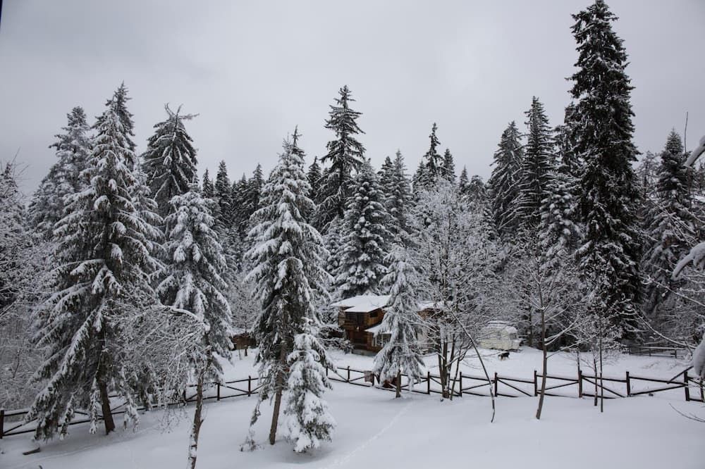 Outdoor view