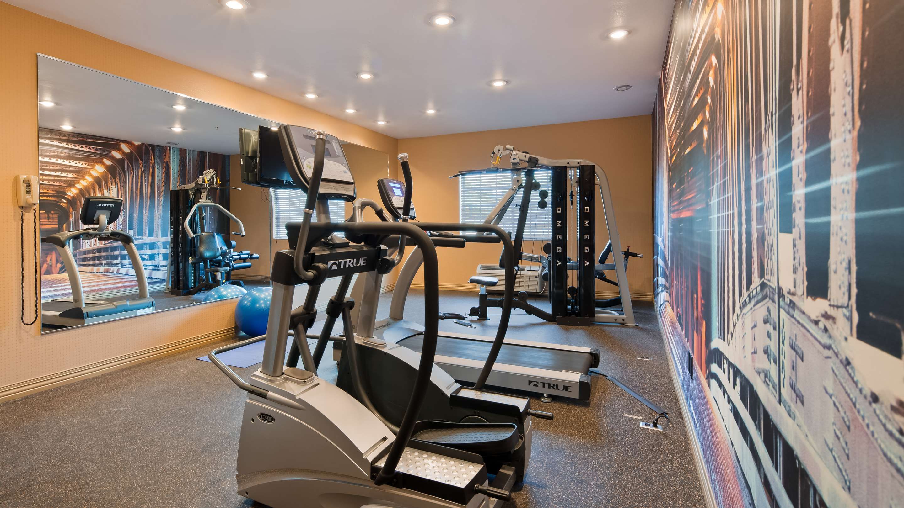 Gym