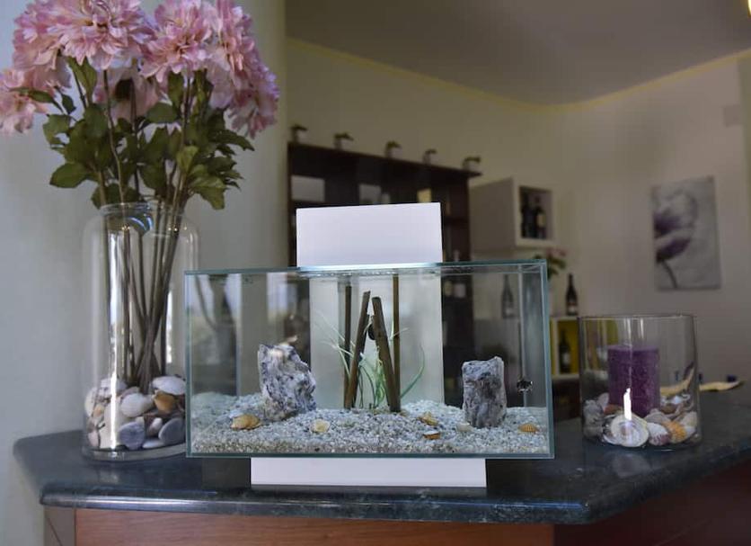 Room amenity Photo