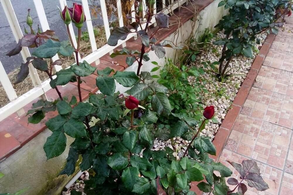 Outdoor view