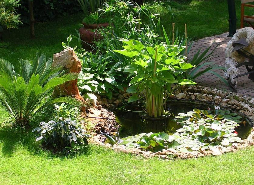 Outdoor view Photo