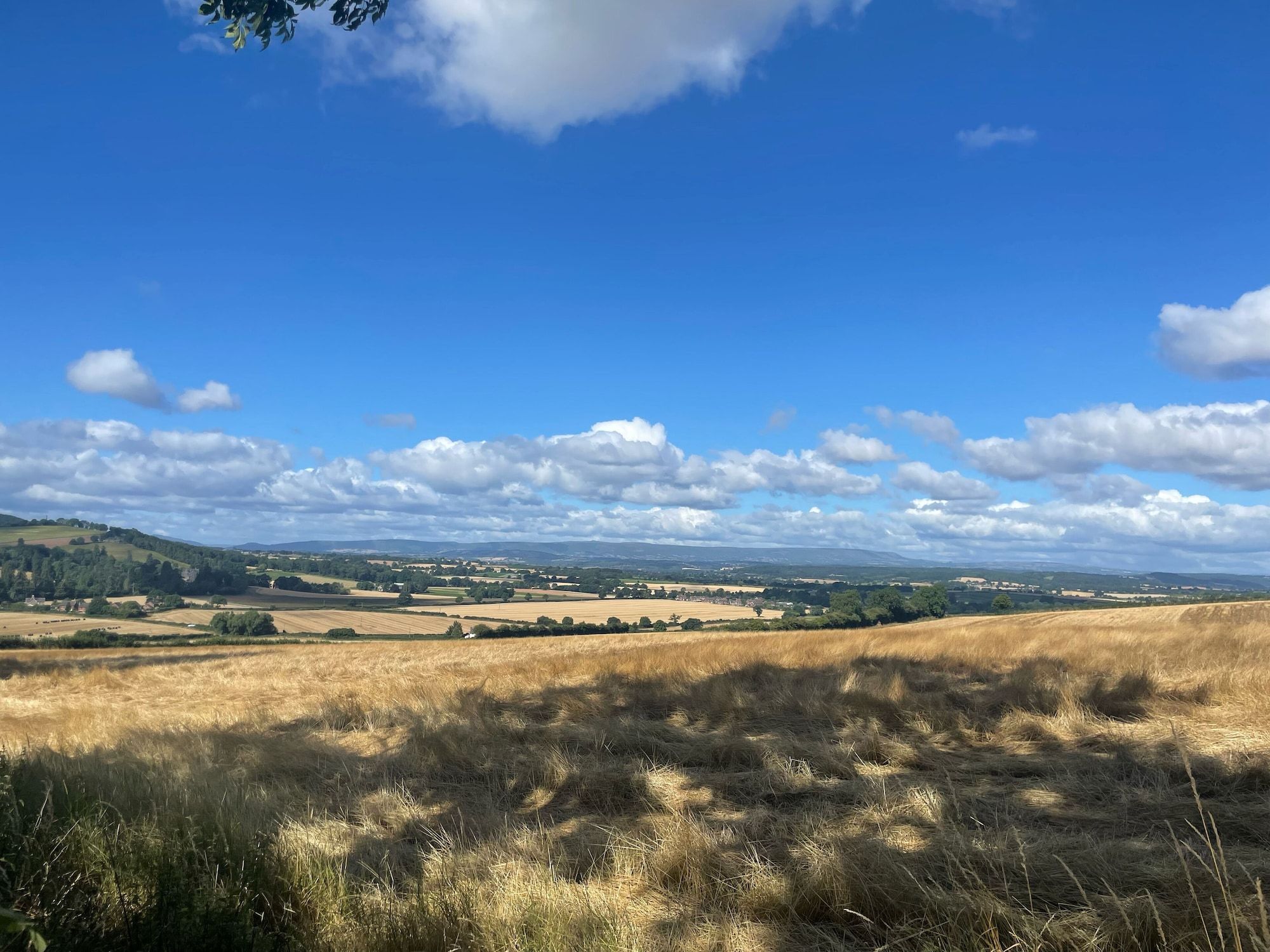 Outdoor view