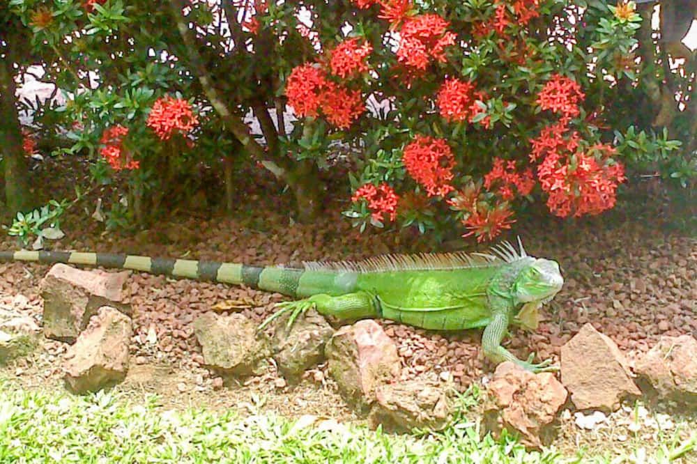 Outdoor view