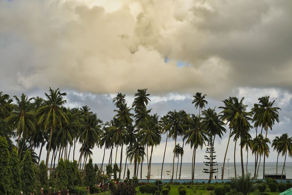 Outdoor view