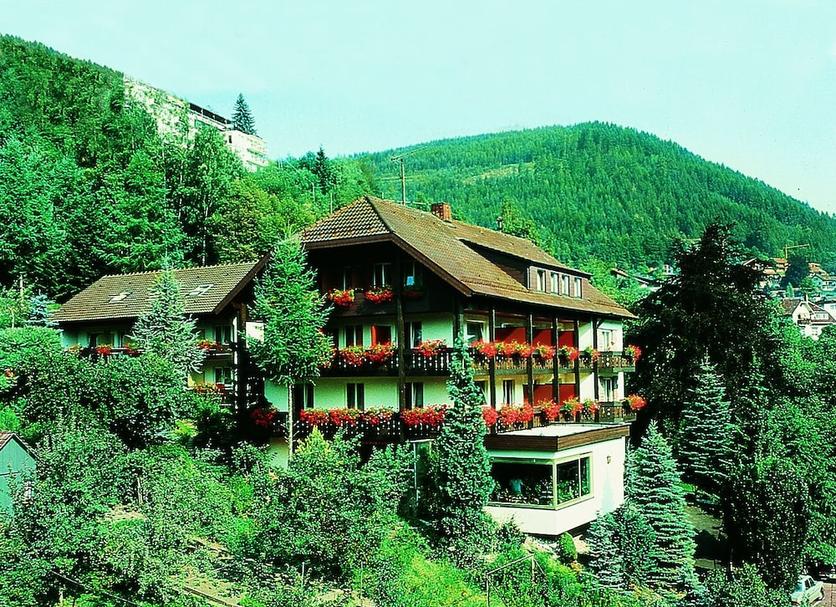 Other Photo