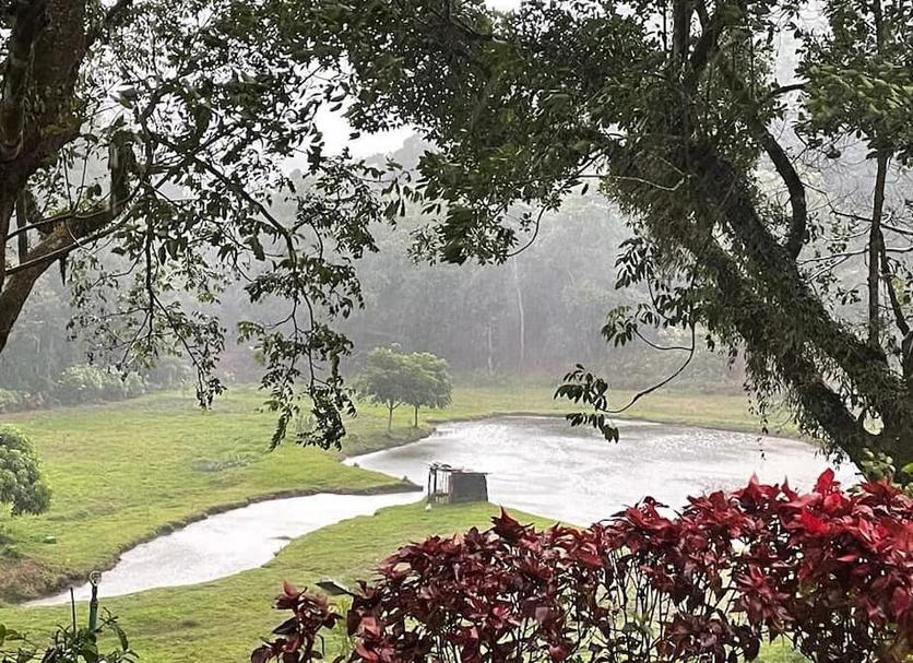 Outdoor view Photo