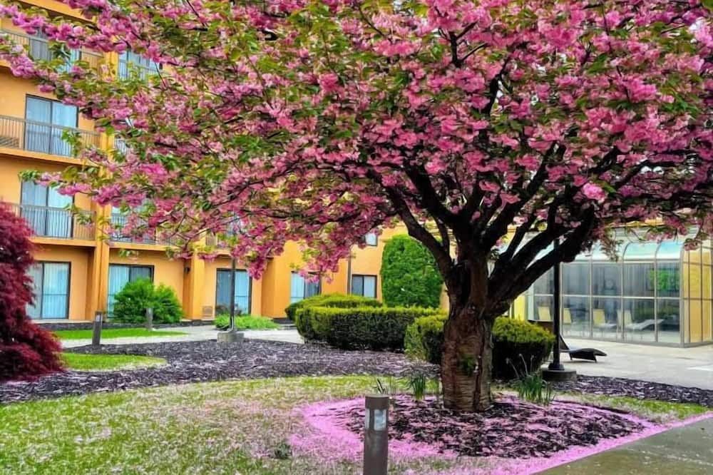 Outdoor view