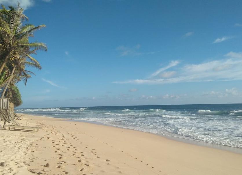 Beach Photo