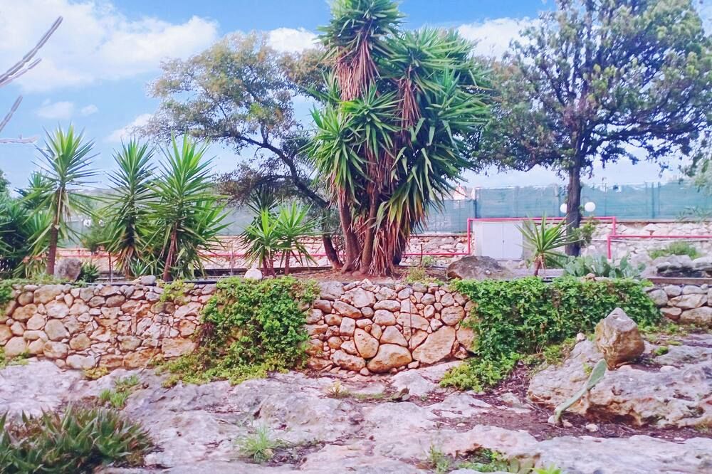 Outdoor view
