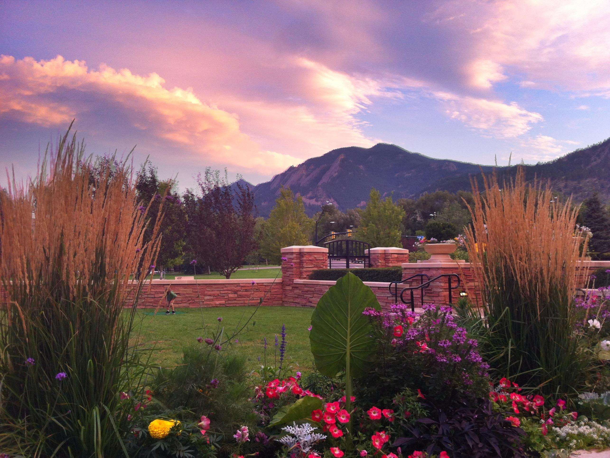 Outdoor view