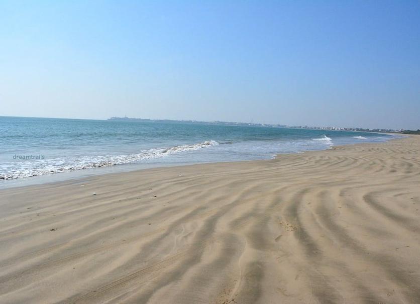 Beach Photo