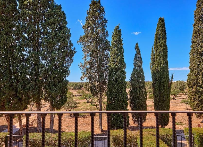 Outdoor view Photo