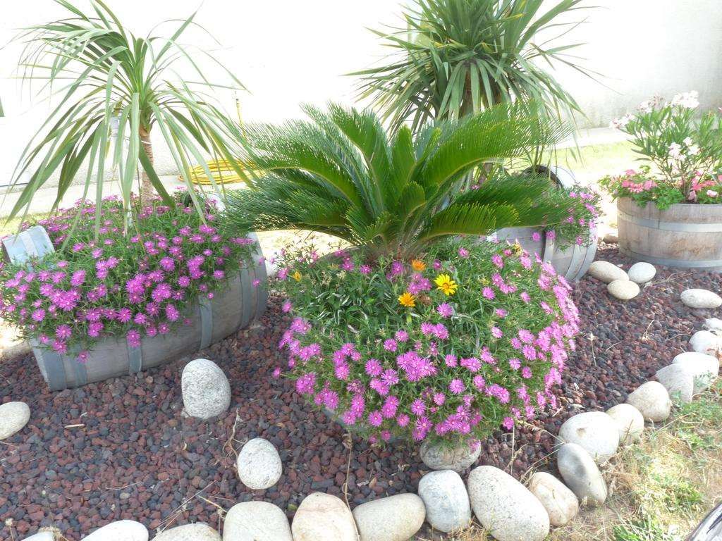 Outdoor view