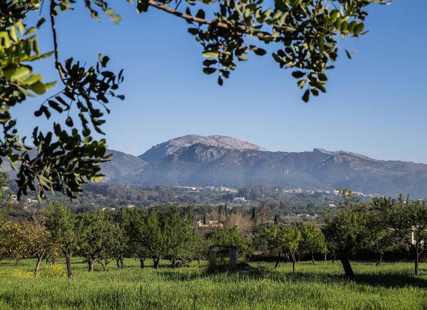 Outdoor view Photo