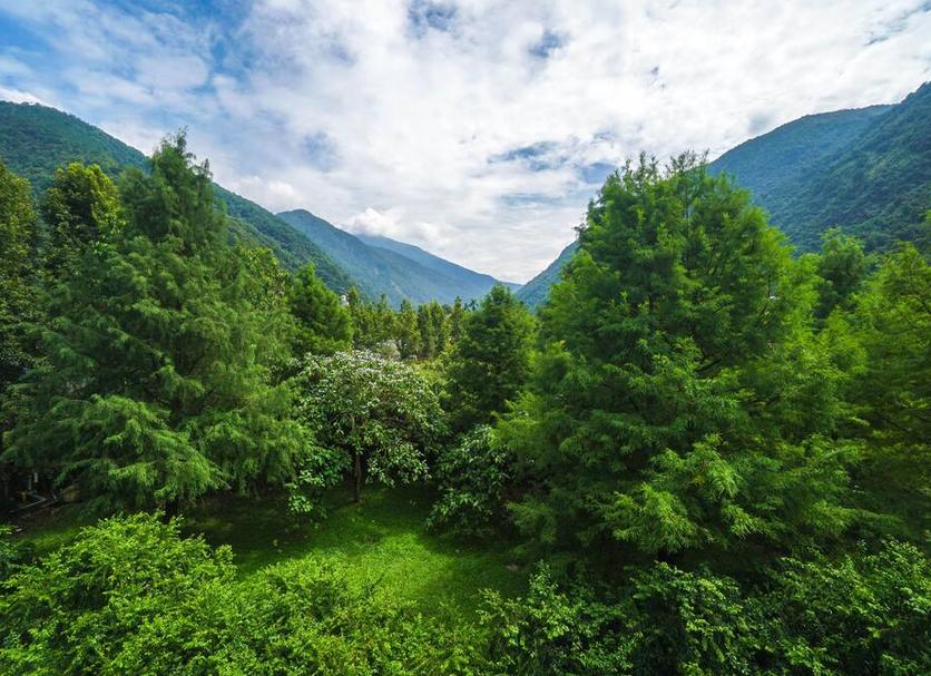 Outdoor view Photo
