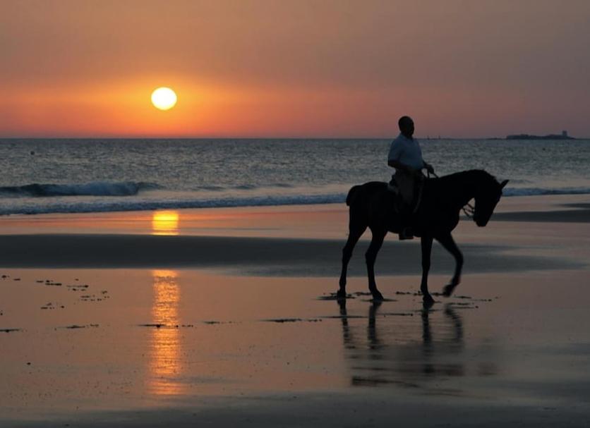 Beach Photo