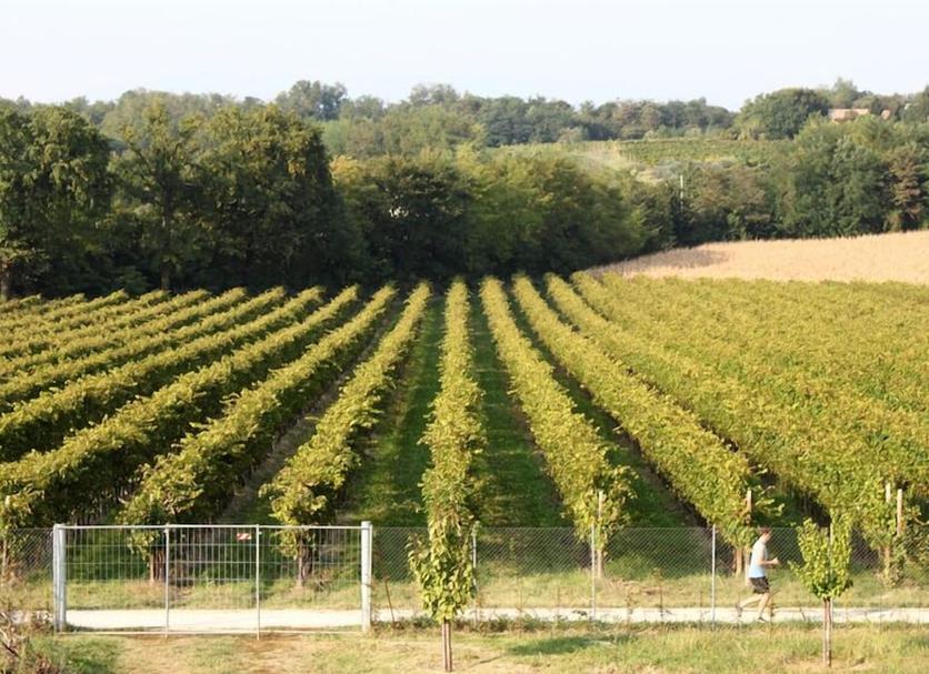 Outdoor view Photo