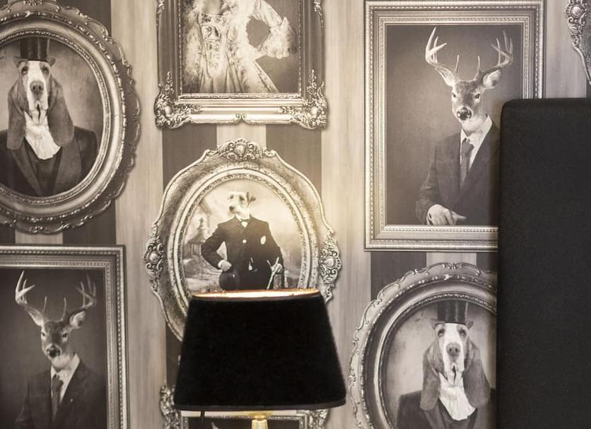 Room amenity Photo