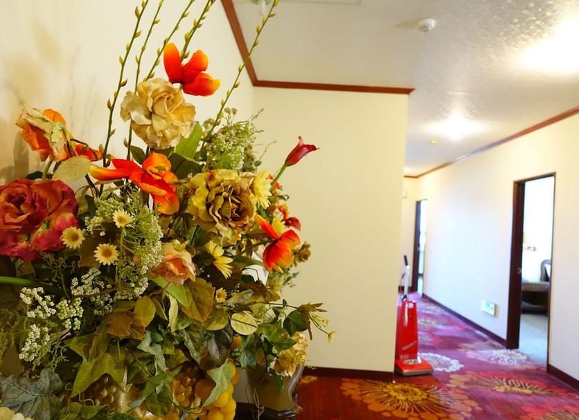 Room amenity Photo