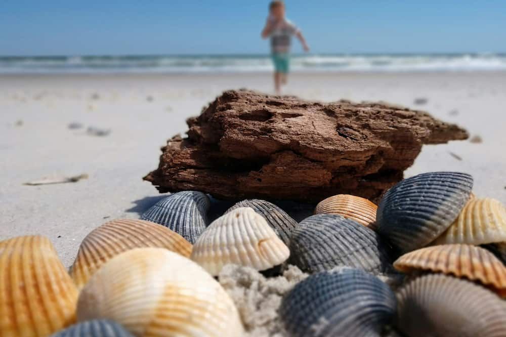 Beach Photo
