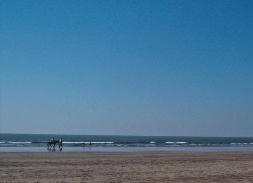 Beach Photo