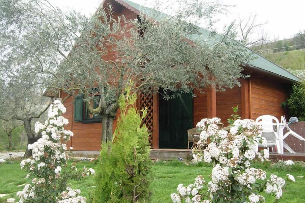 Outdoor view