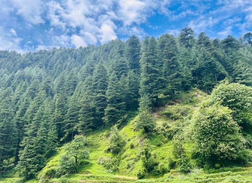 Outdoor view Photo