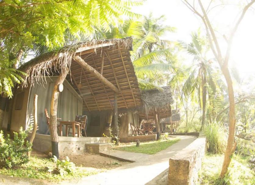 Other Photo