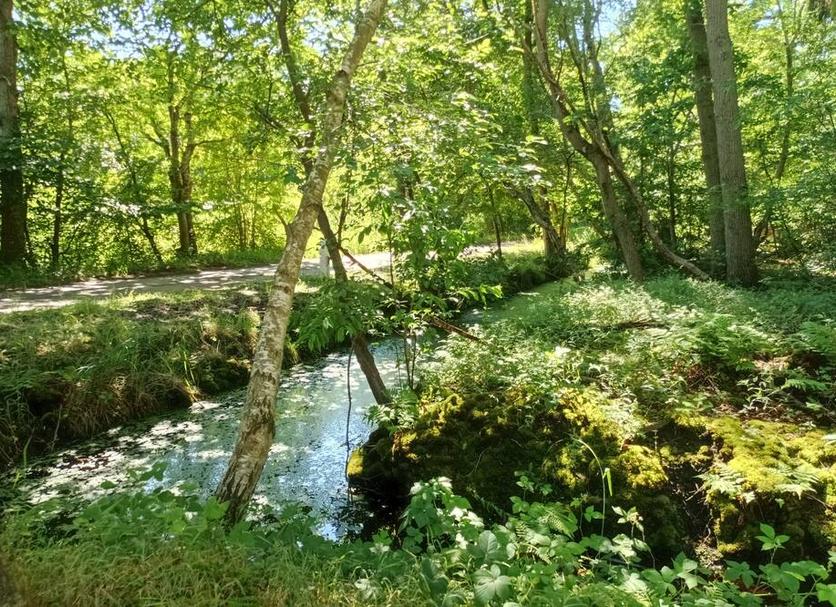 Outdoor view Photo