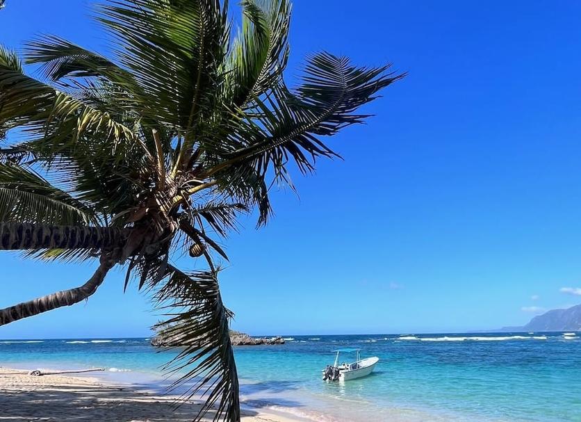 Beach Photo