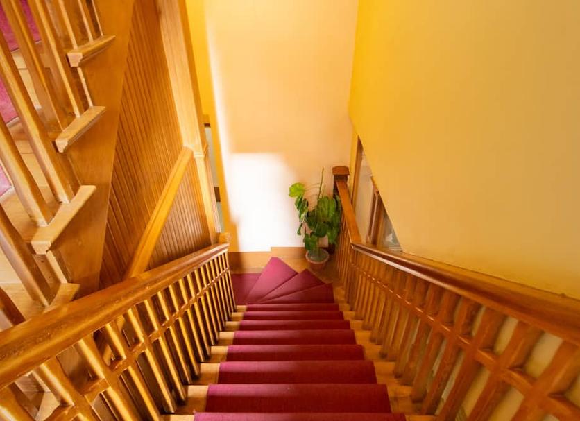 Stairs Photo