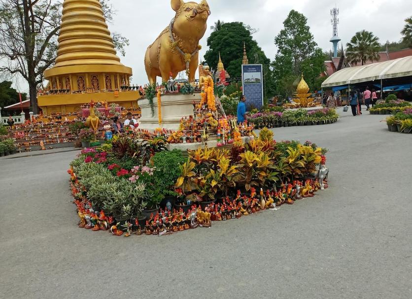 Outdoor view Photo