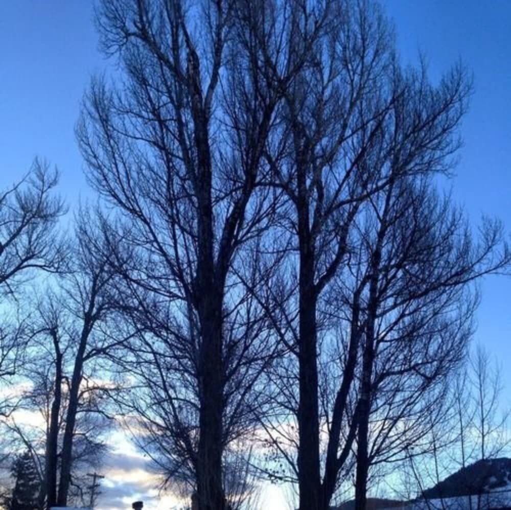 Outdoor view