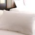 Hotel amenity