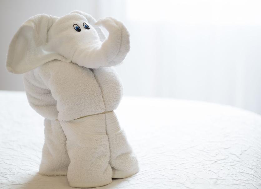 Room amenity Photo