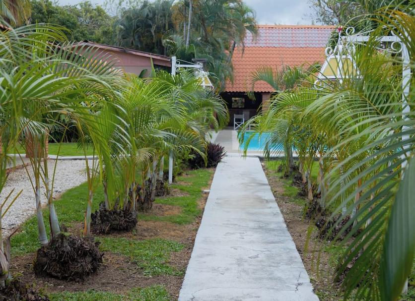 Outdoor view Photo