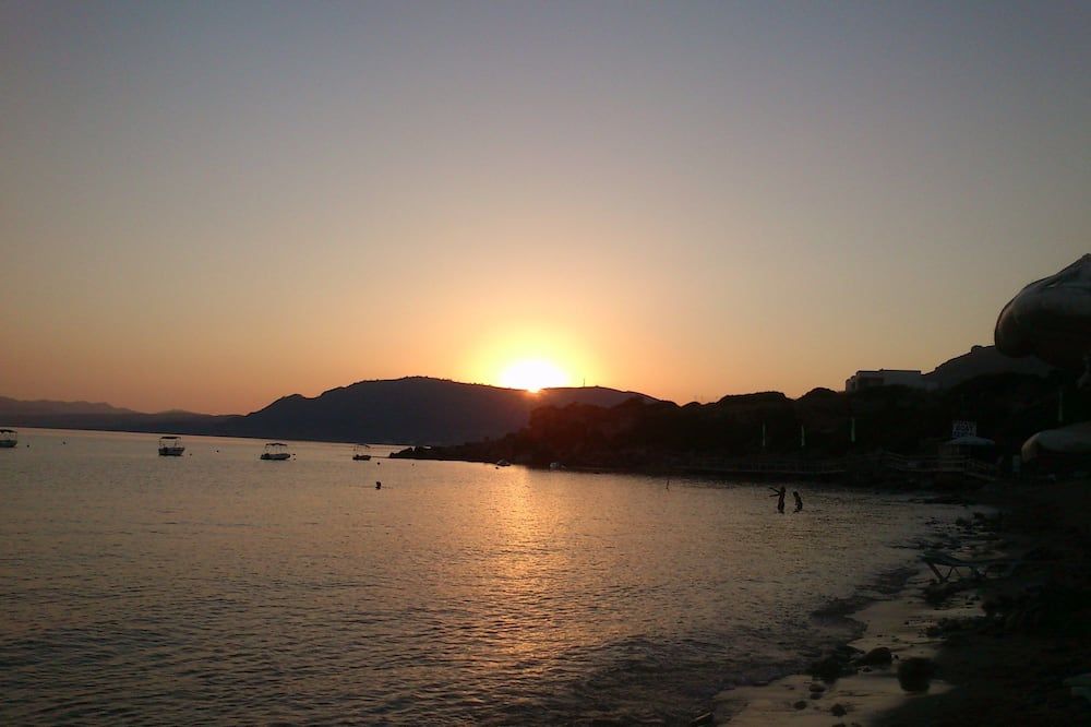 Other Photo