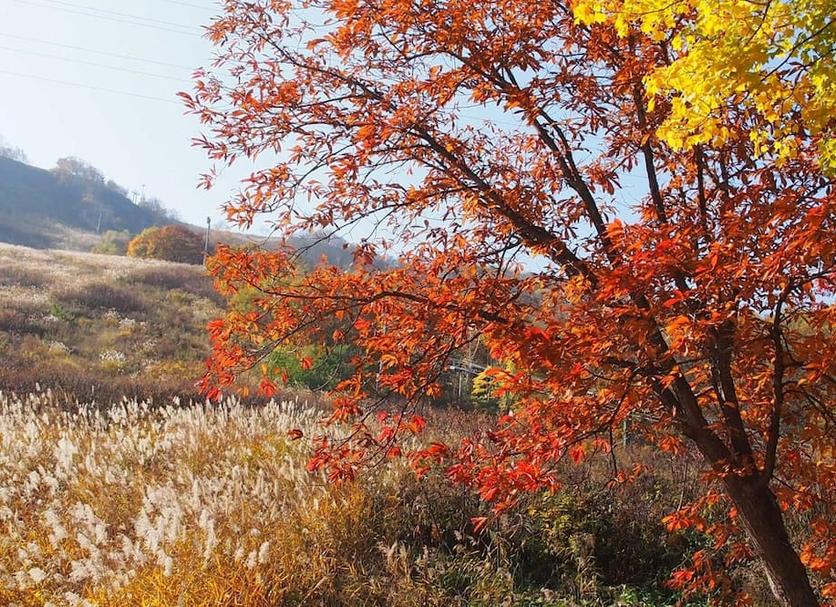 Outdoor view Photo
