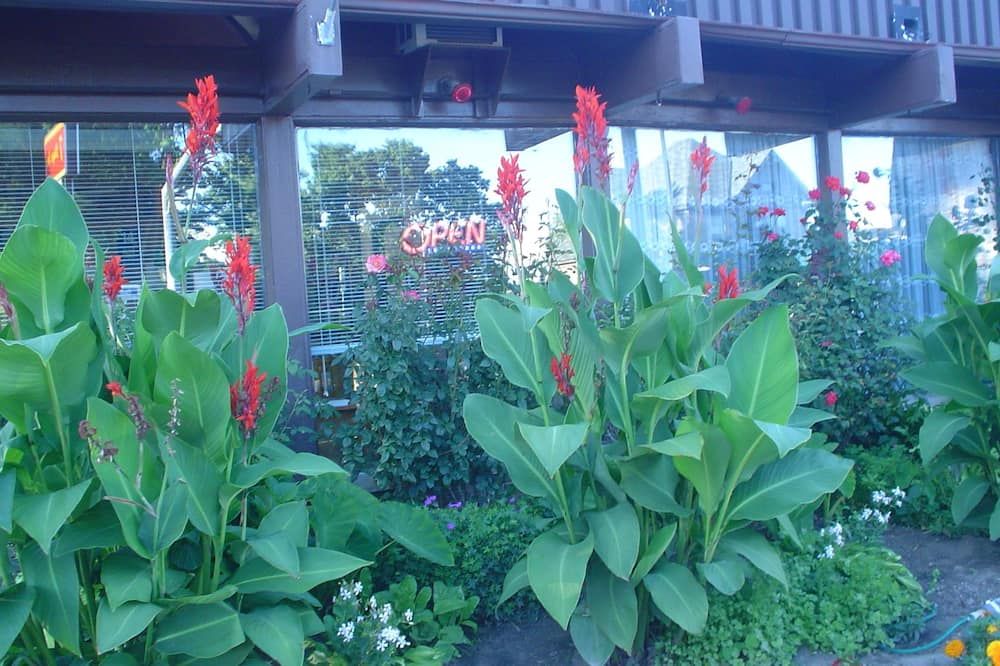 Outdoor view
