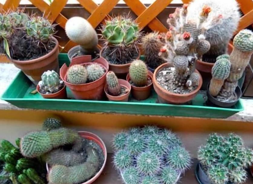 Other Photo