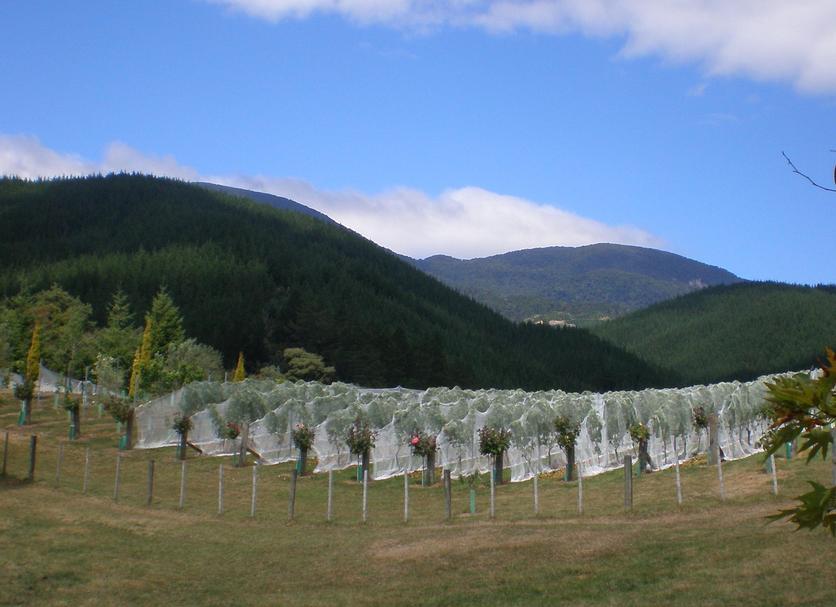 Outdoor view Photo