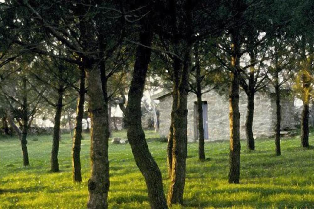 Outdoor view