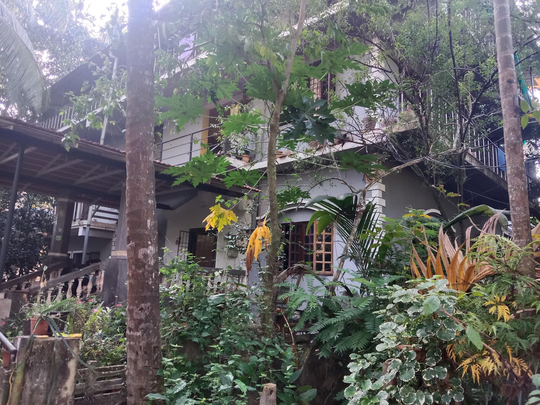 Outdoor view