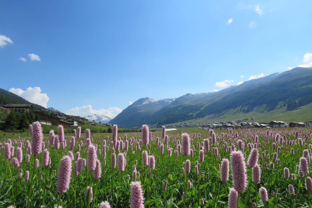 Outdoor view
