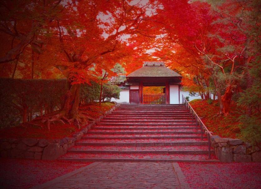 Stairs Photo